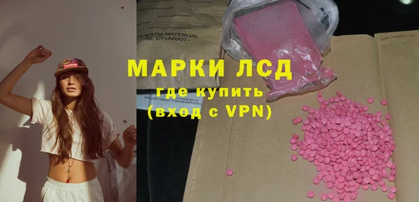 гидра Михайловск