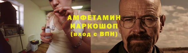 гидра Михайловск