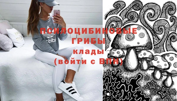 гидра Михайловск