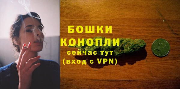 гидра Михайловск