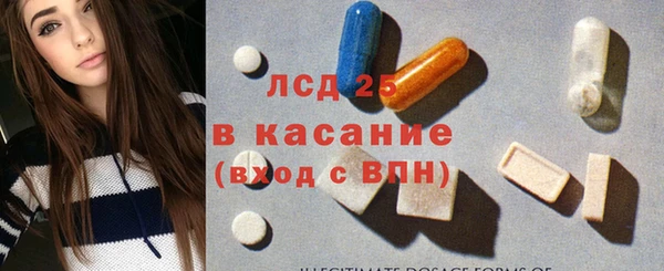гидра Михайловск