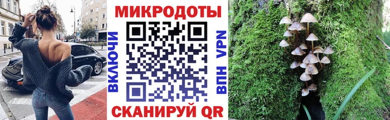 omg   Смоленск  Псилоцибиновые грибы Psilocybe 